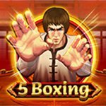 5 Boxing